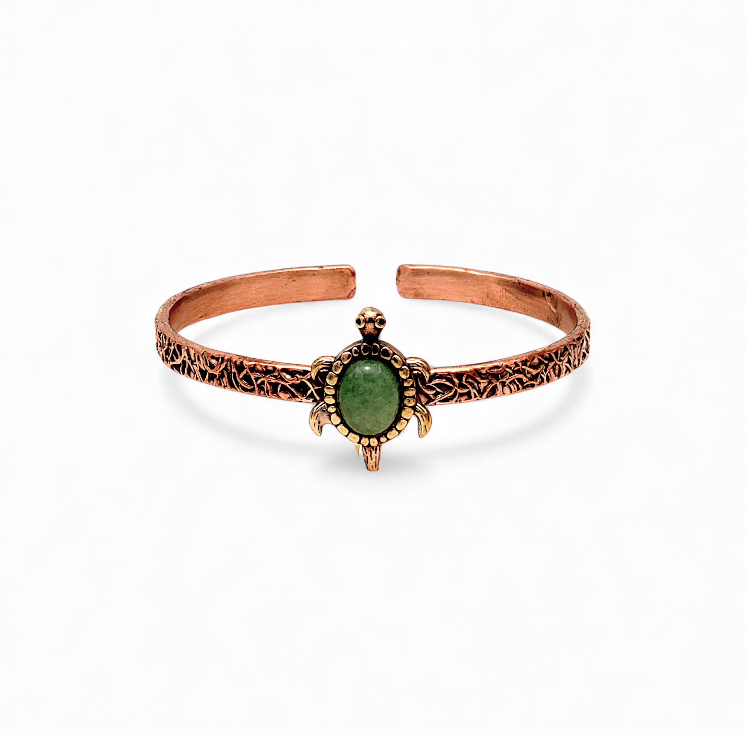 kaplumbağaaventurin1